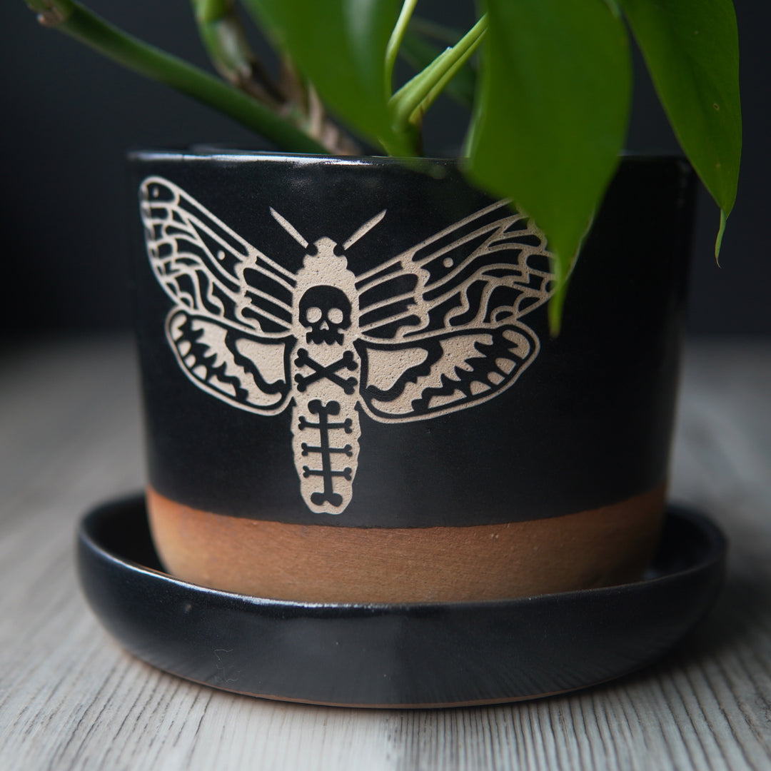Deaths Head Hawkmoth Plant Pot, Spooky Insect Planter with drainage + saucer
