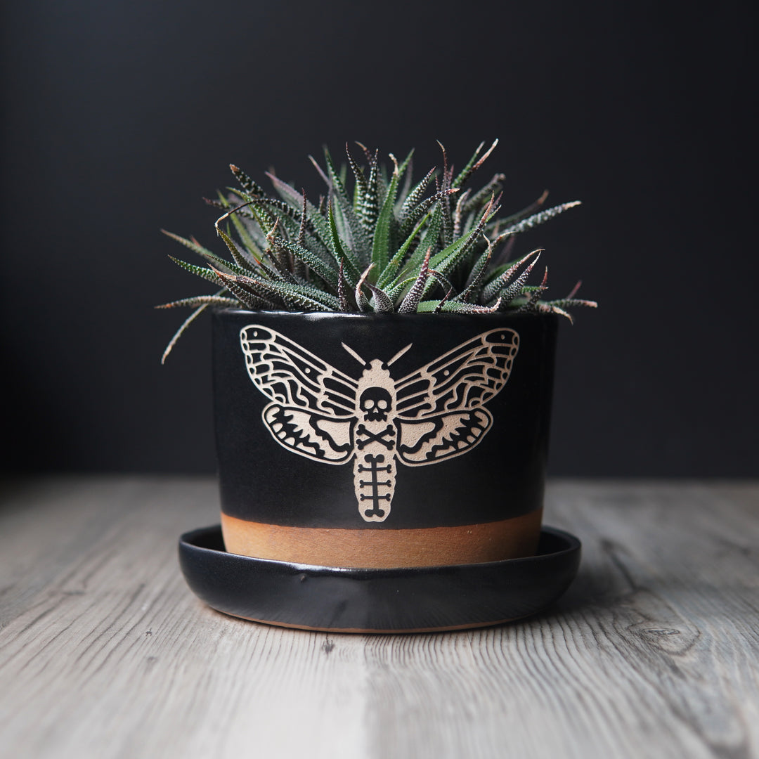 Deaths Head Hawkmoth Plant Pot, Spooky Insect Planter with drainage + saucer