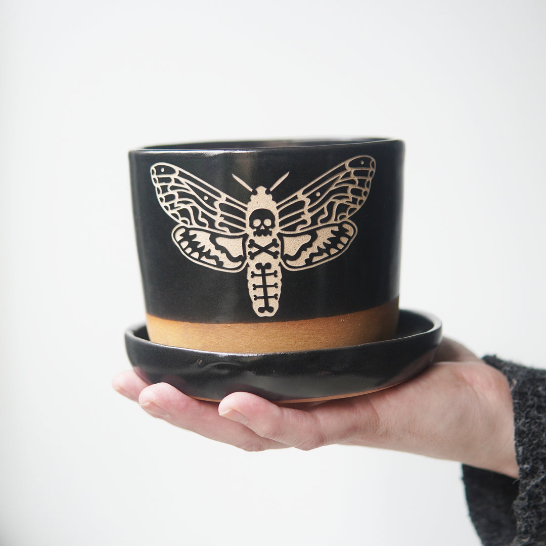 Deaths Head Hawkmoth Plant Pot, Spooky Insect Planter with drainage + saucer