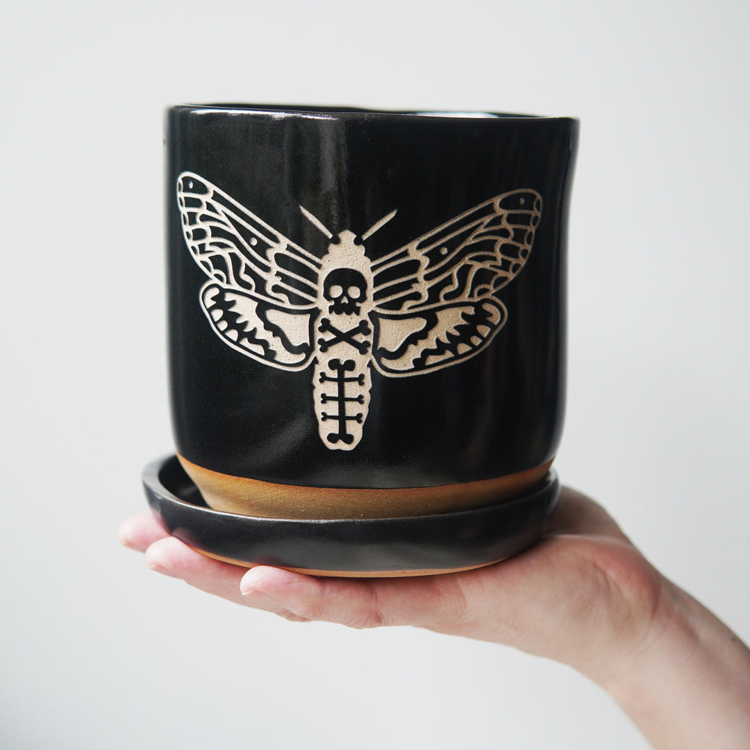 Deaths Head Hawkmoth Plant Pot, Spooky Insect Planter with drainage + saucer