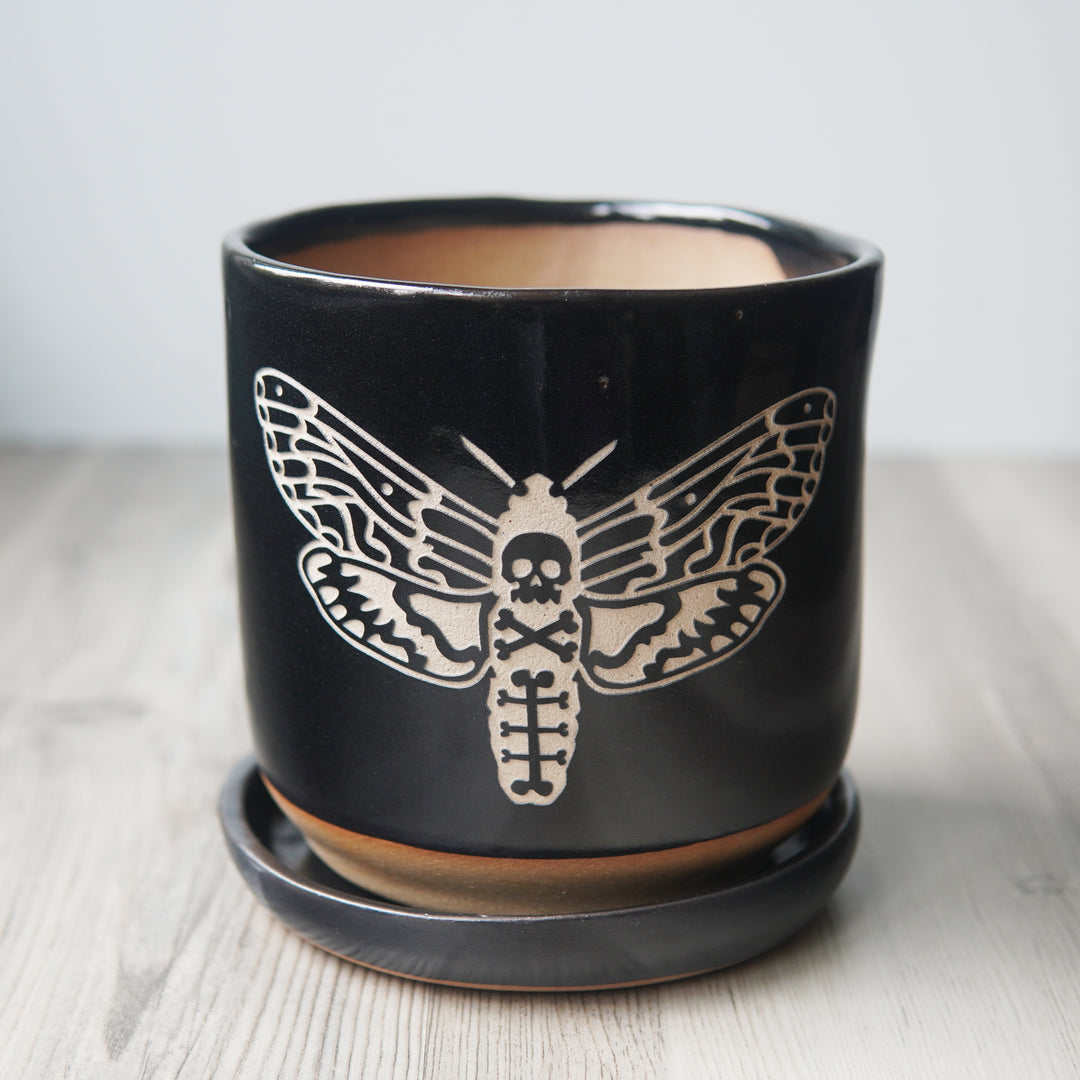 Deaths Head Hawkmoth Plant Pot, Spooky Insect Planter with drainage + saucer