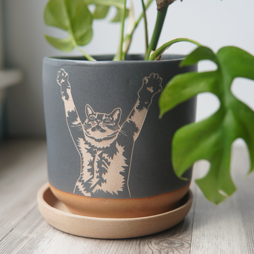 Stretch Cat 5" Planter with Saucer - Farmhouse Style