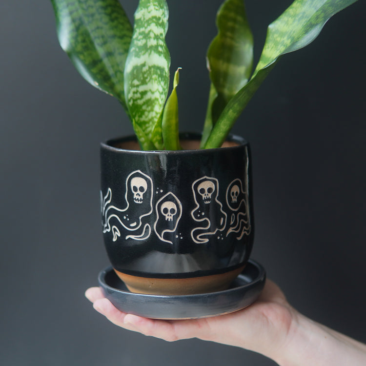 Person holding a potted plant with a black pot featuring white ghost designs against a dark background