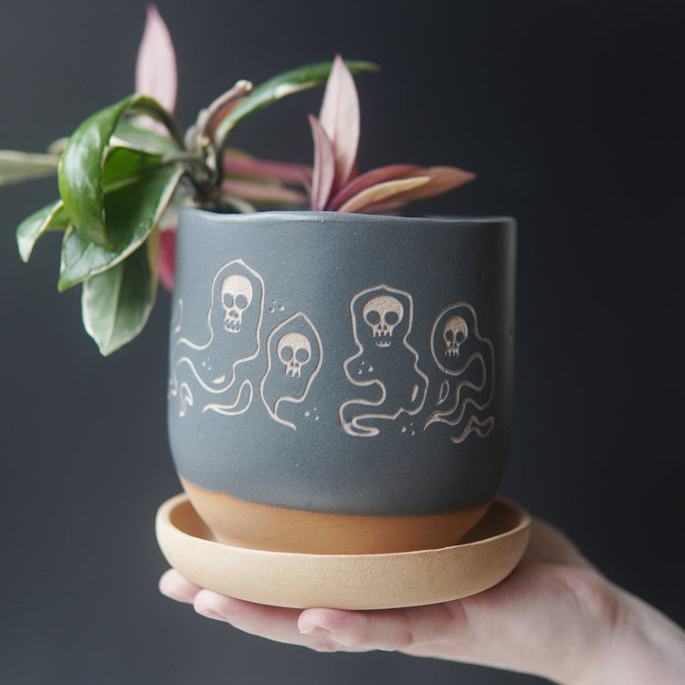 Hand holding a gray pot with ghost design holding a plant, on a tan saucer, against a dark background