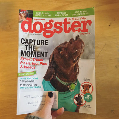 Pug Pint Glasses Featured in Dogster Magazine Holiday Gift Guide