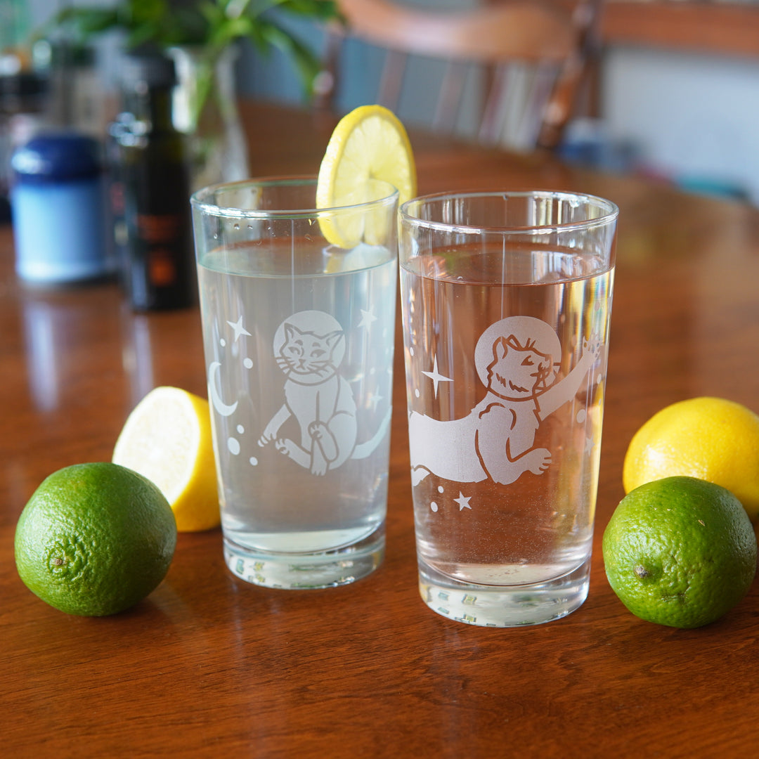 space cat highball glasses