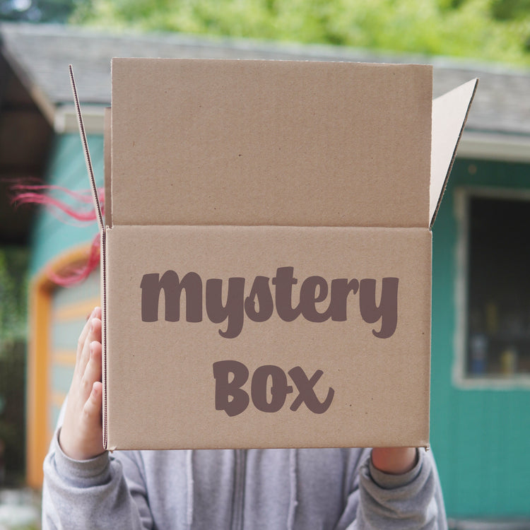 Person holding a cardboard box labeled 'mystery box' outdoors.