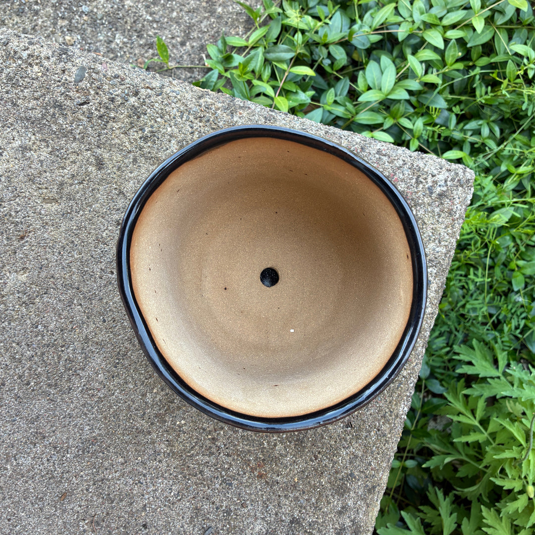 Space Dog Farmhouse Planter with Saucer