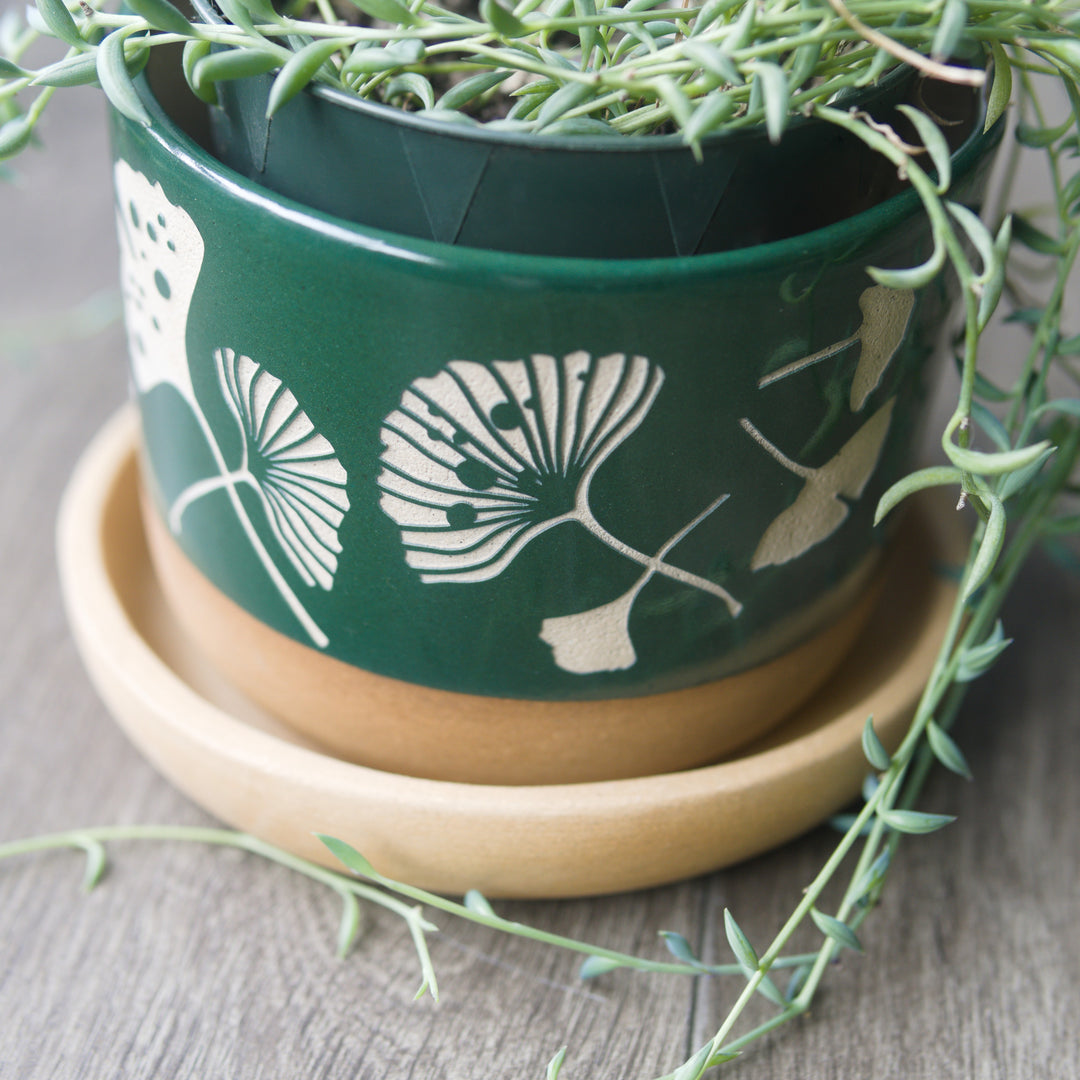 Ginkgo Leaves Farmhouse Planter + Saucer