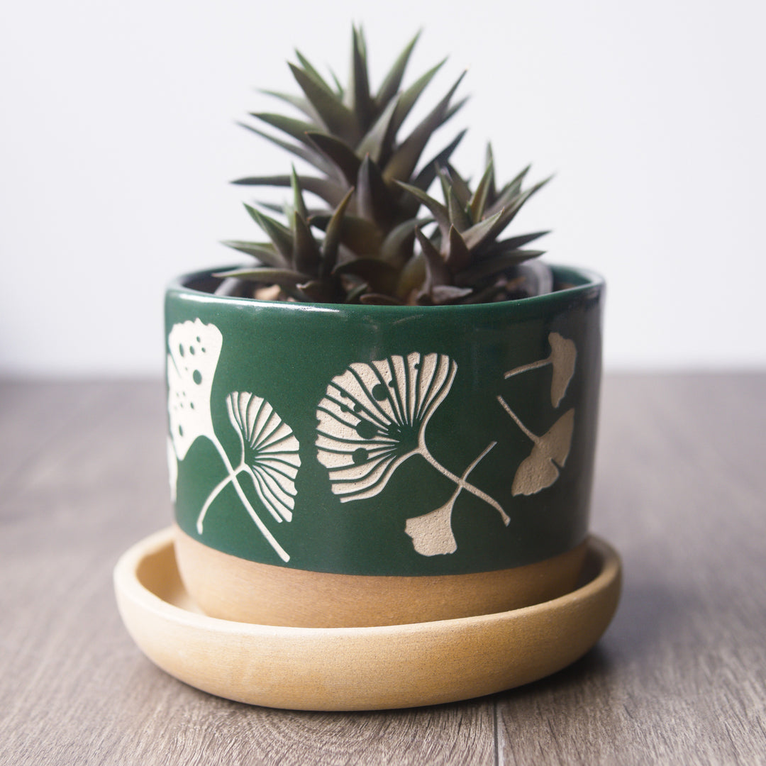 Ginkgo Leaves Farmhouse Planter + Saucer