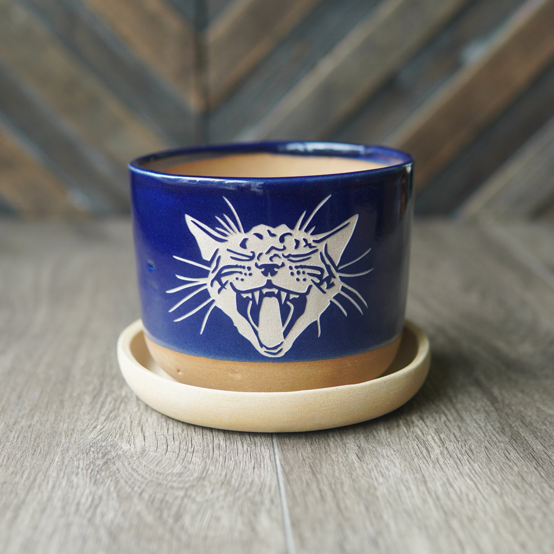 Screaming Cat Farmhouse Planter with Saucer
