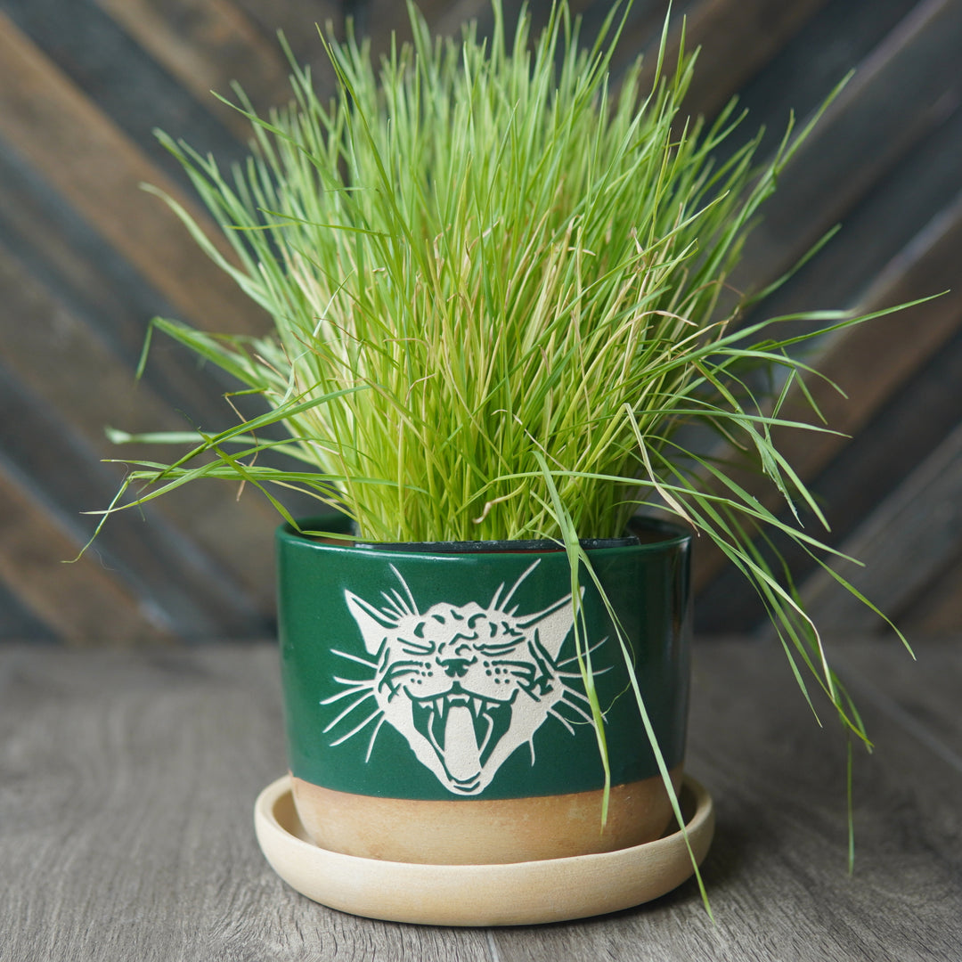 Screaming Cat Farmhouse Planter with Saucer