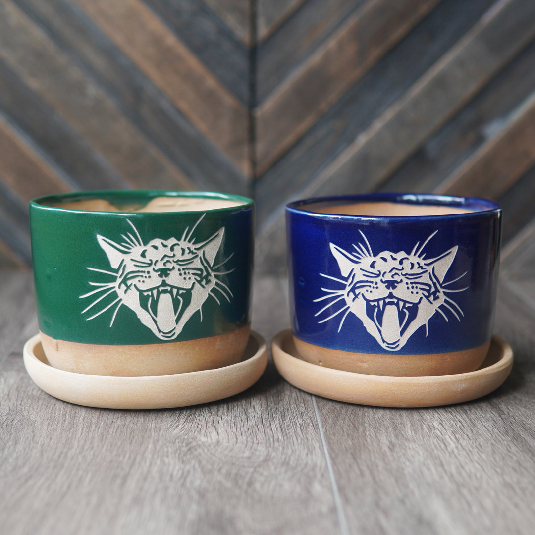 Screaming Cat Farmhouse Planter with Saucer