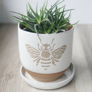 Honey Bee Farmhouse Planter with Saucer