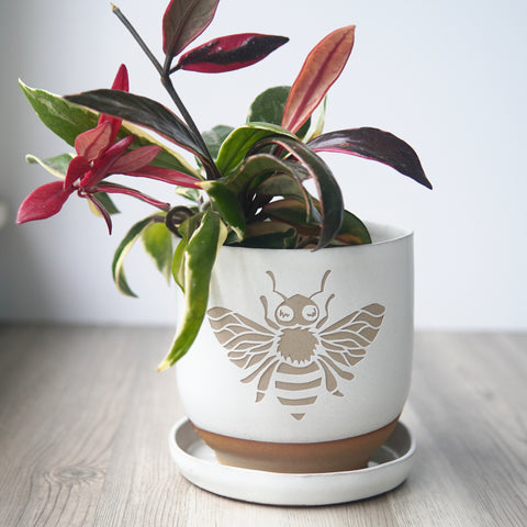 Honey Bee Farmhouse Planter with Saucer