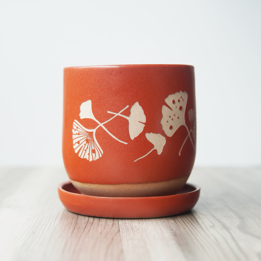 Ginkgo Leaves Farmhouse Planter + Saucer