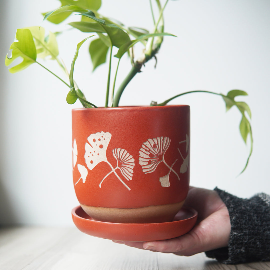 Ginkgo Leaves Farmhouse Planter + Saucer