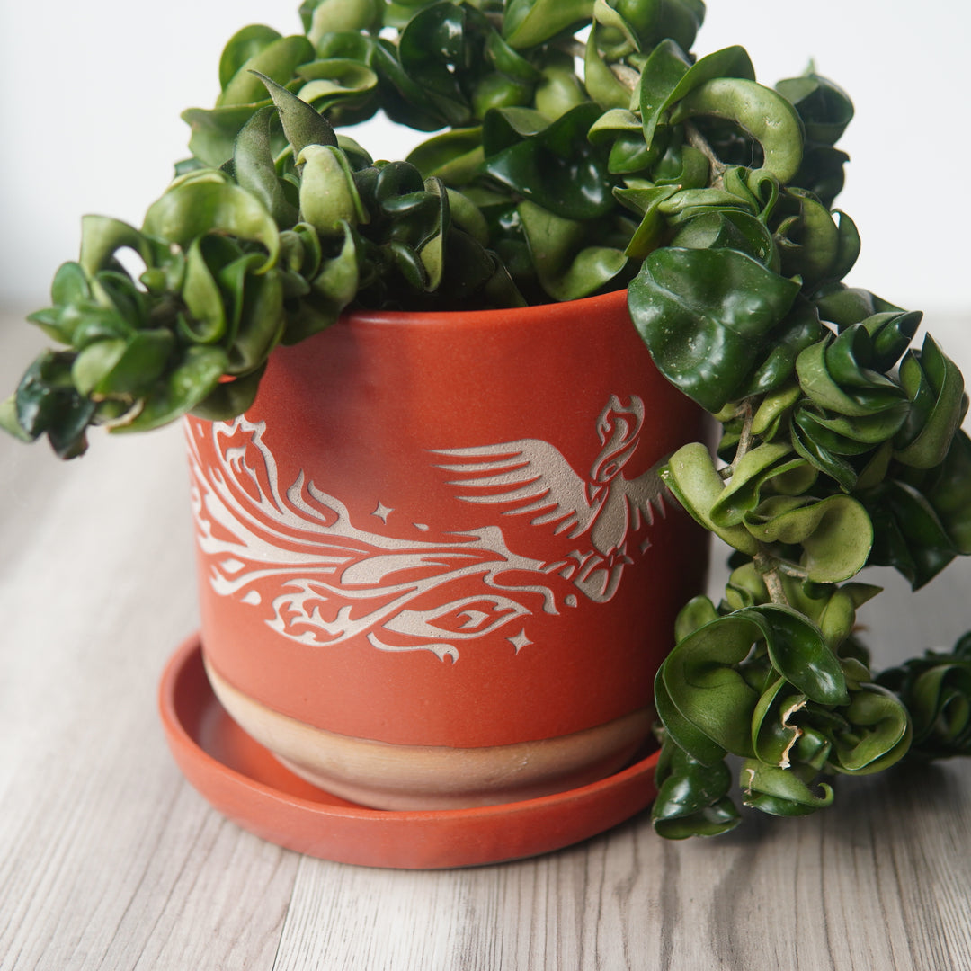 Phoenix Farmhouse Planter with Saucer