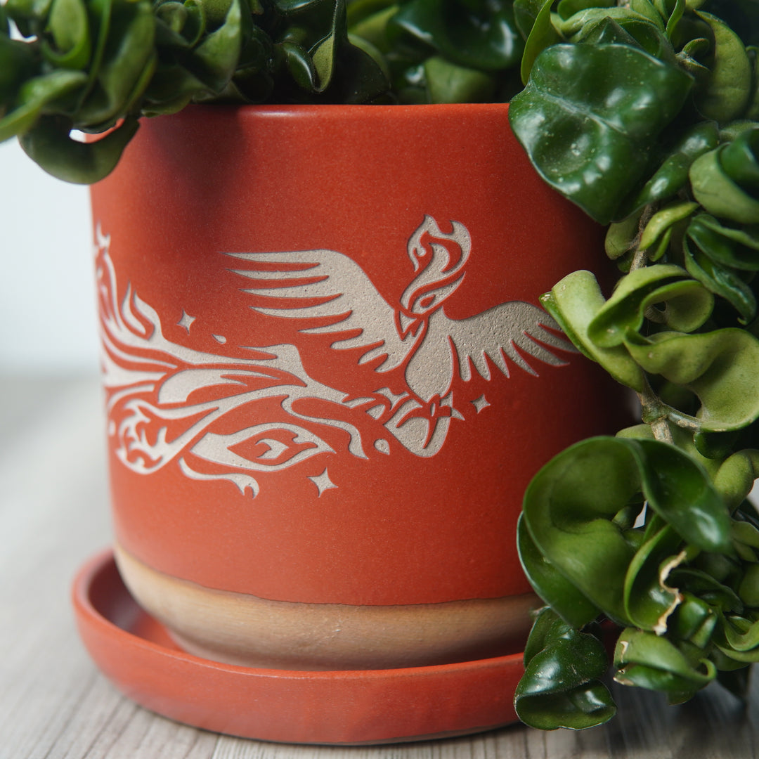 Phoenix Farmhouse Planter with Saucer