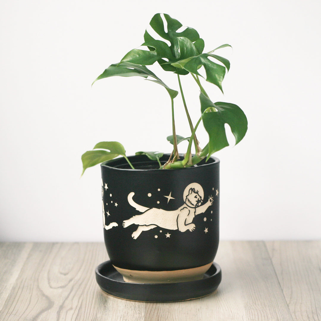 Space Cats Farmhouse Planter with Saucer