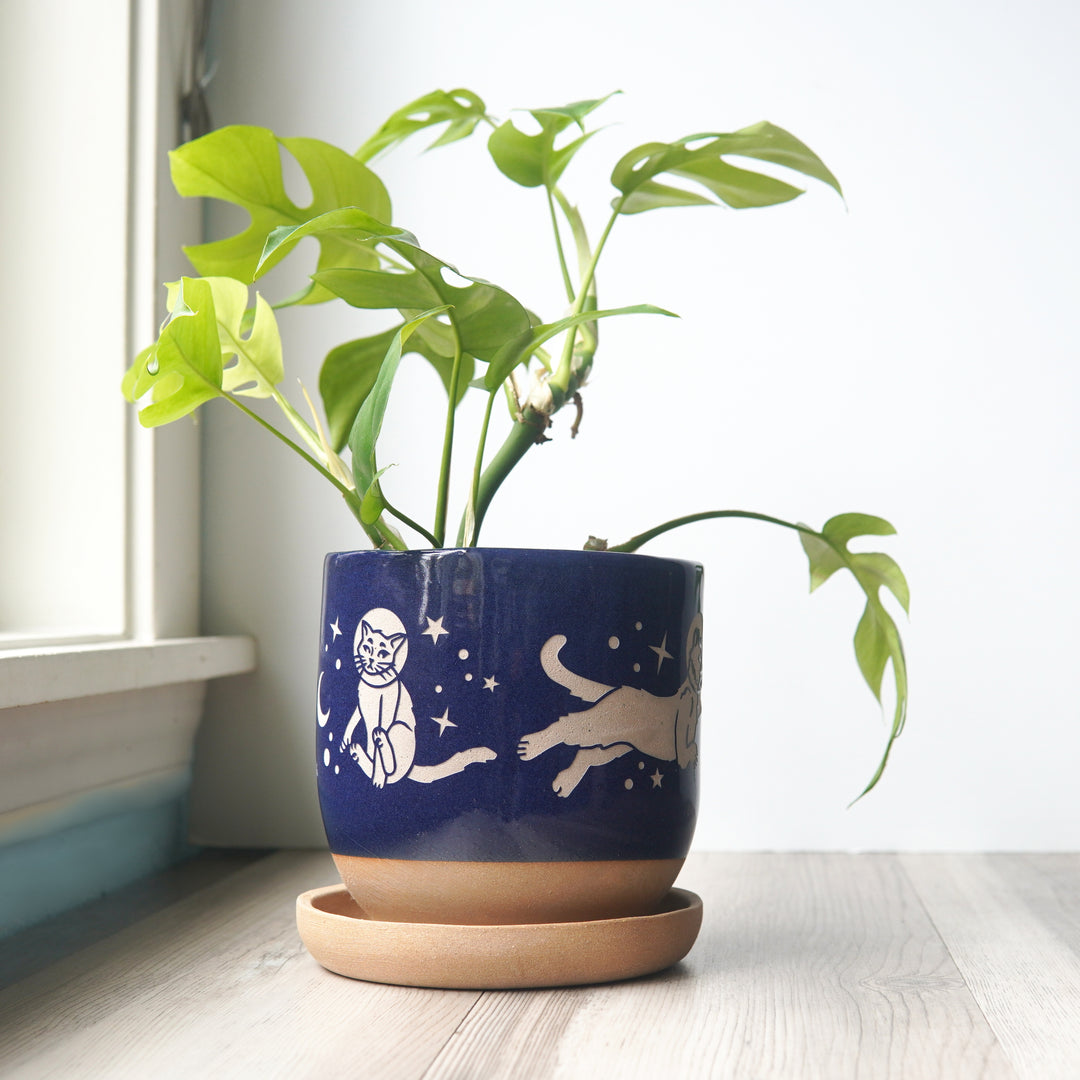 Space Cats Farmhouse Planter with Saucer