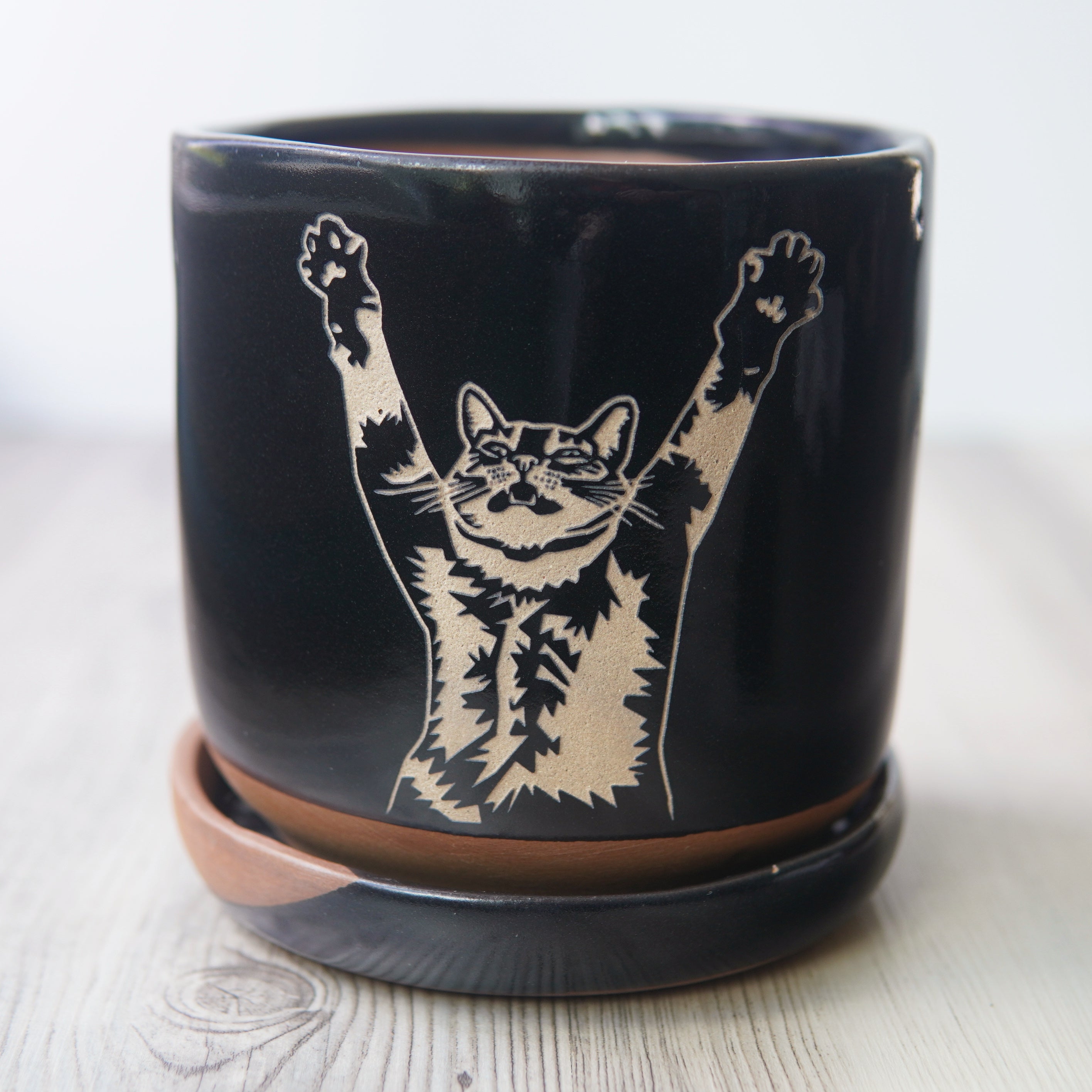 Stretch Cat planter with exposed edge drip tray
