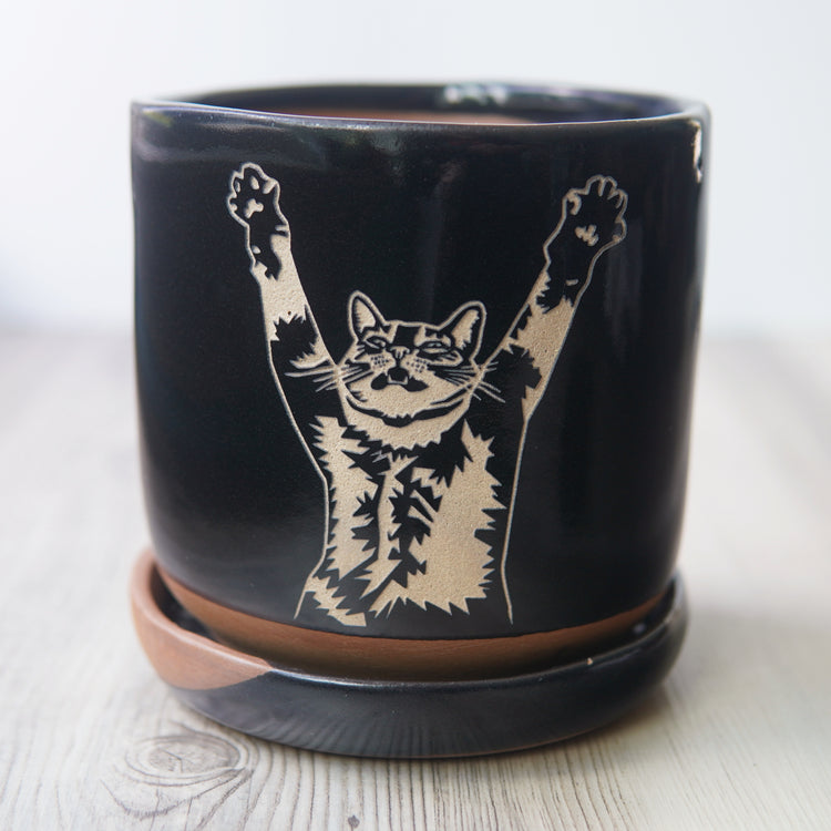 Stretch Cat planter with exposed edge drip tray