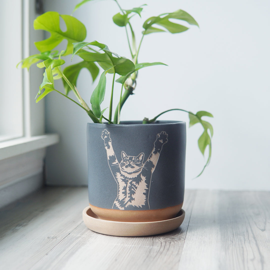 Stretch Cat 5" Planter with Saucer - Farmhouse Style