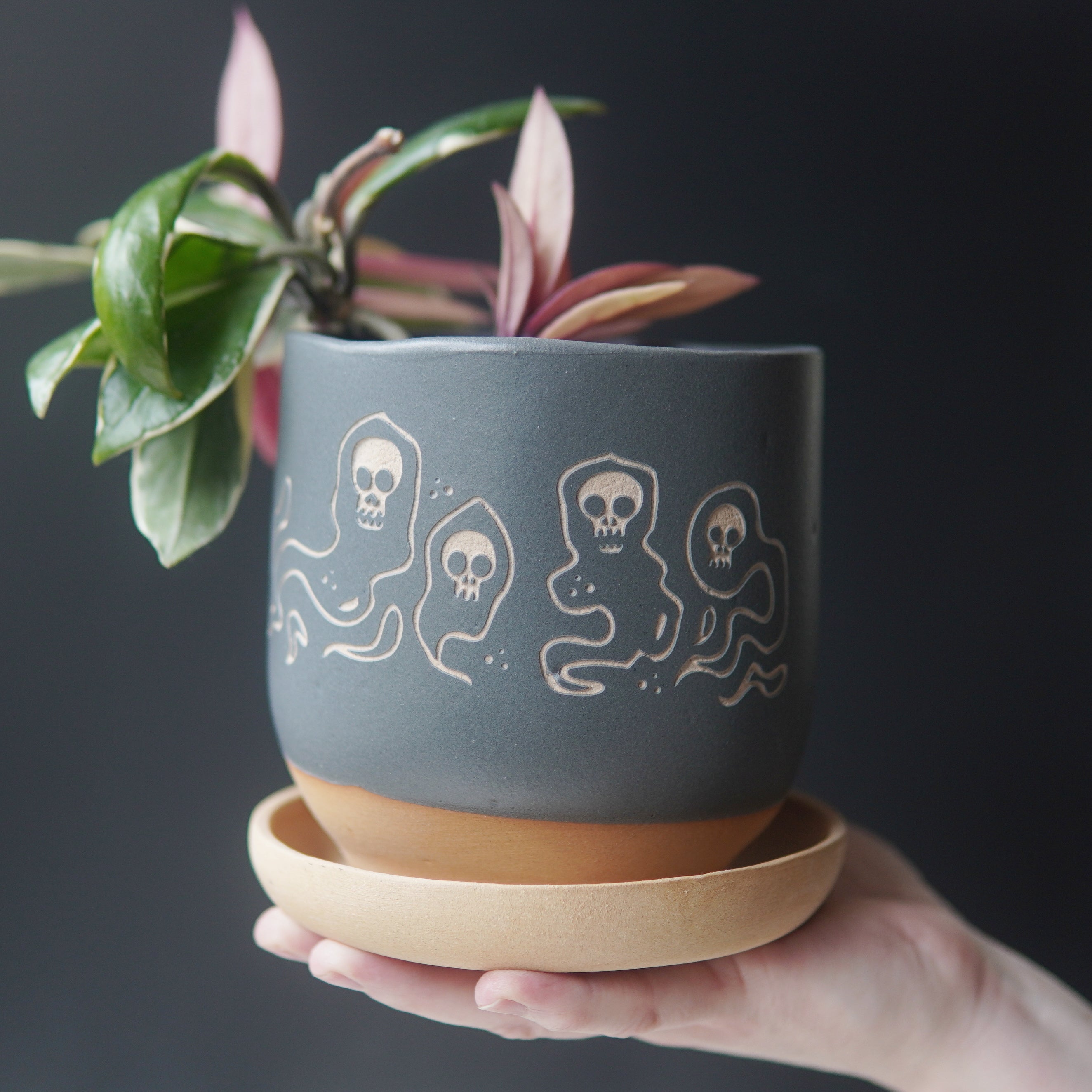 Hand holding a gray pot with ghost design holding a plant, on a tan saucer, against a dark background