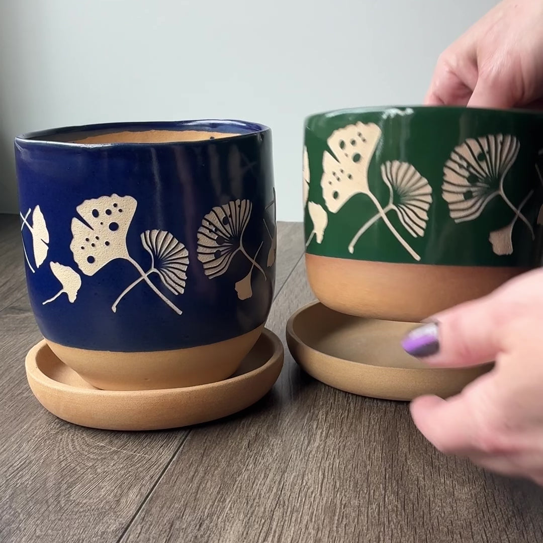 Ginkgo Leaves Farmhouse Planter + Saucer