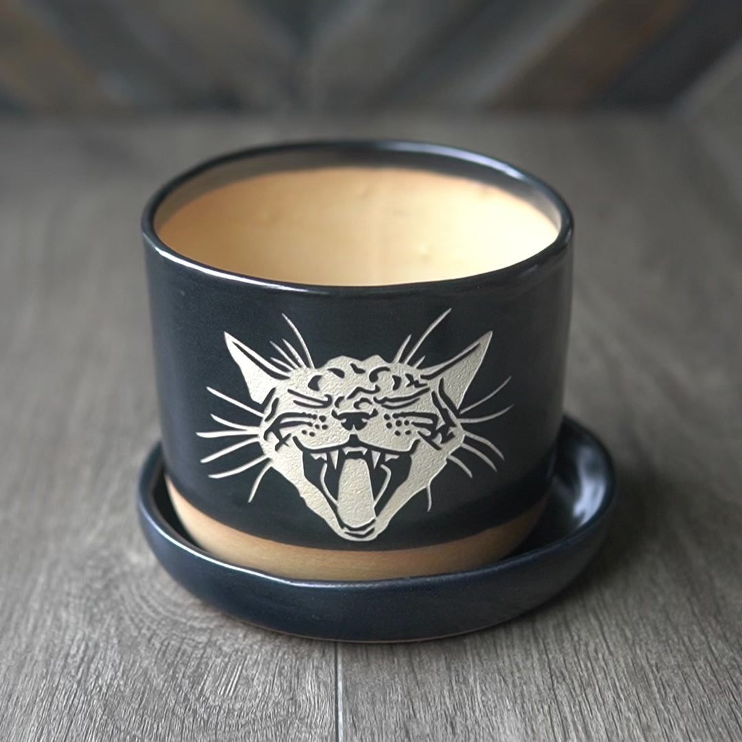 Screaming Cat Farmhouse Planter with Saucer