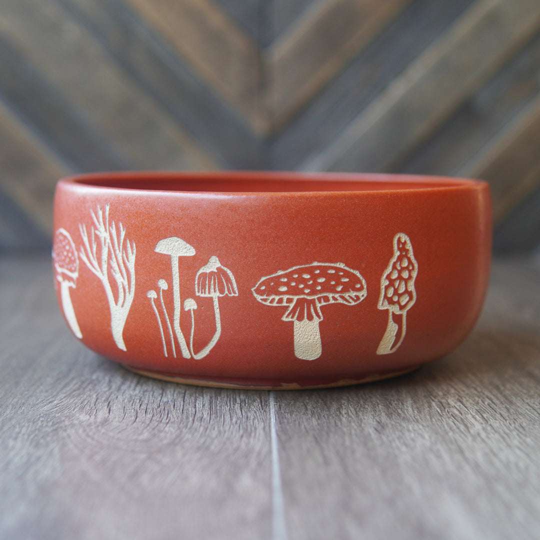 Mushroom Bowl, Farmhouse Style Handmade Pottery