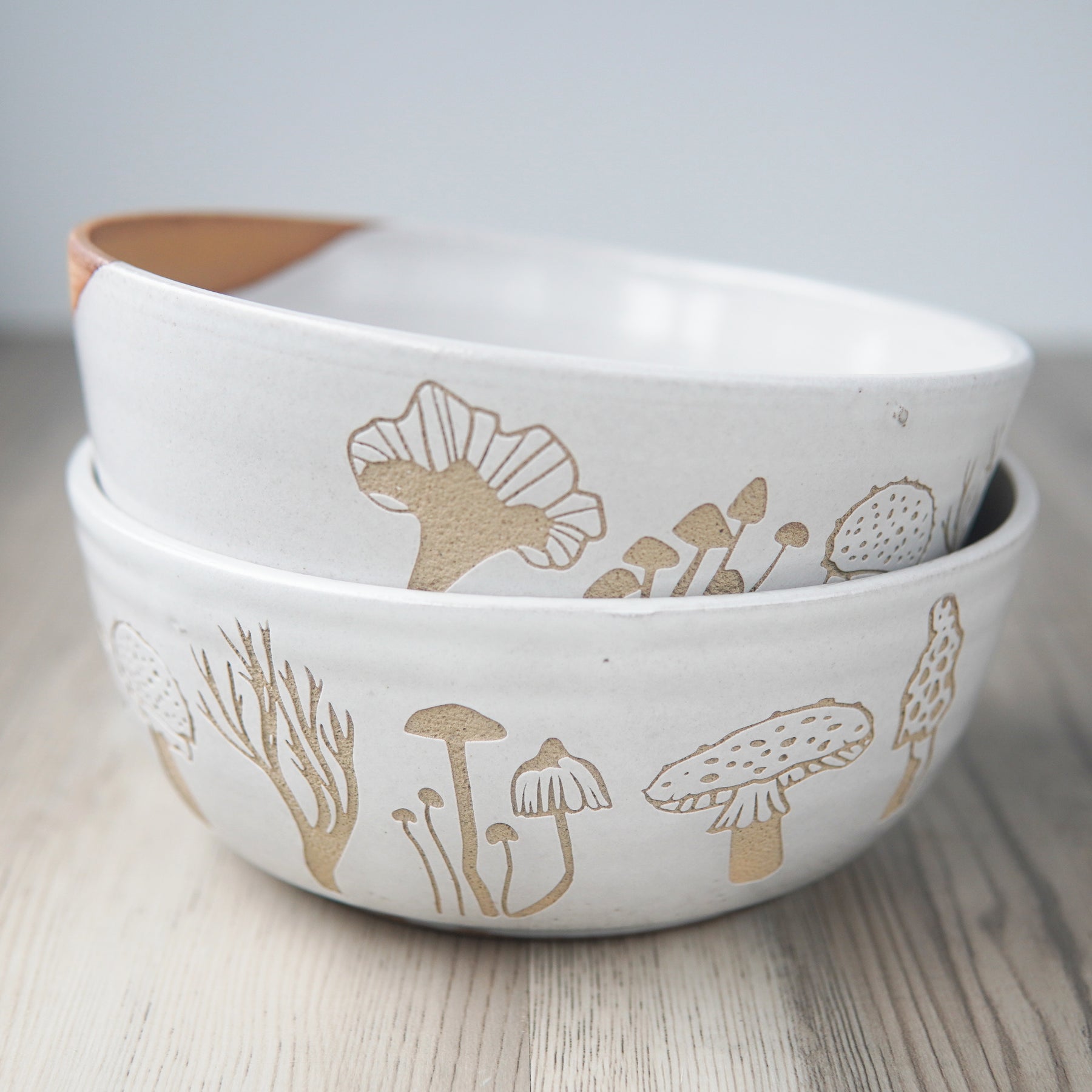 Reusable Bowl Covers – Farmhouse Pottery