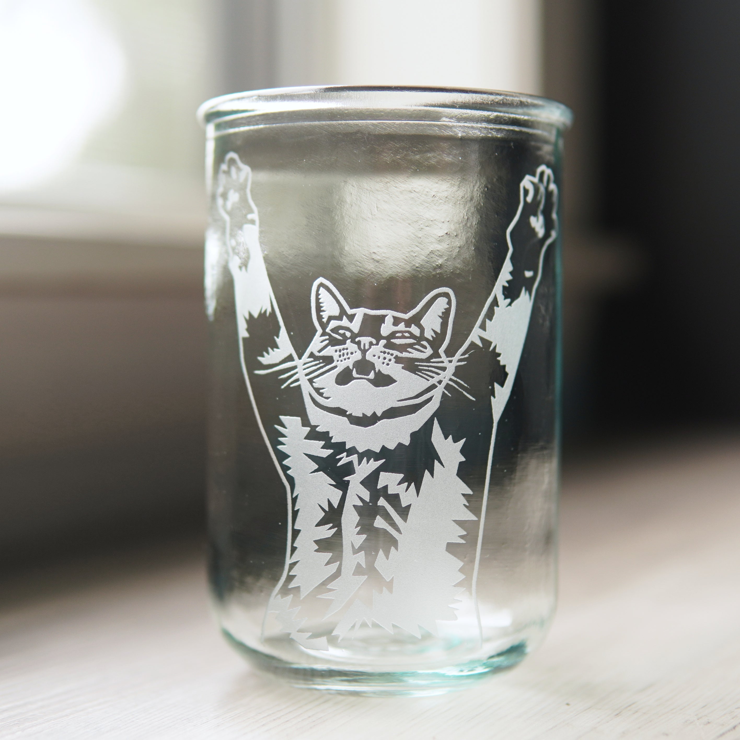 top half of a tabby cat with its arms stretched up and mouth slightly open engraved onto a tall glass