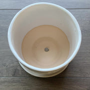 White cherry blossoms plant pot, 5" size in white