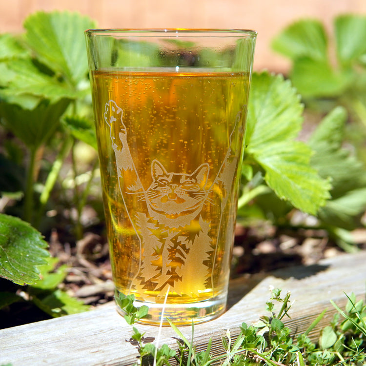 Stretching Cat etched pint glass full of beer next to a strawberry garden