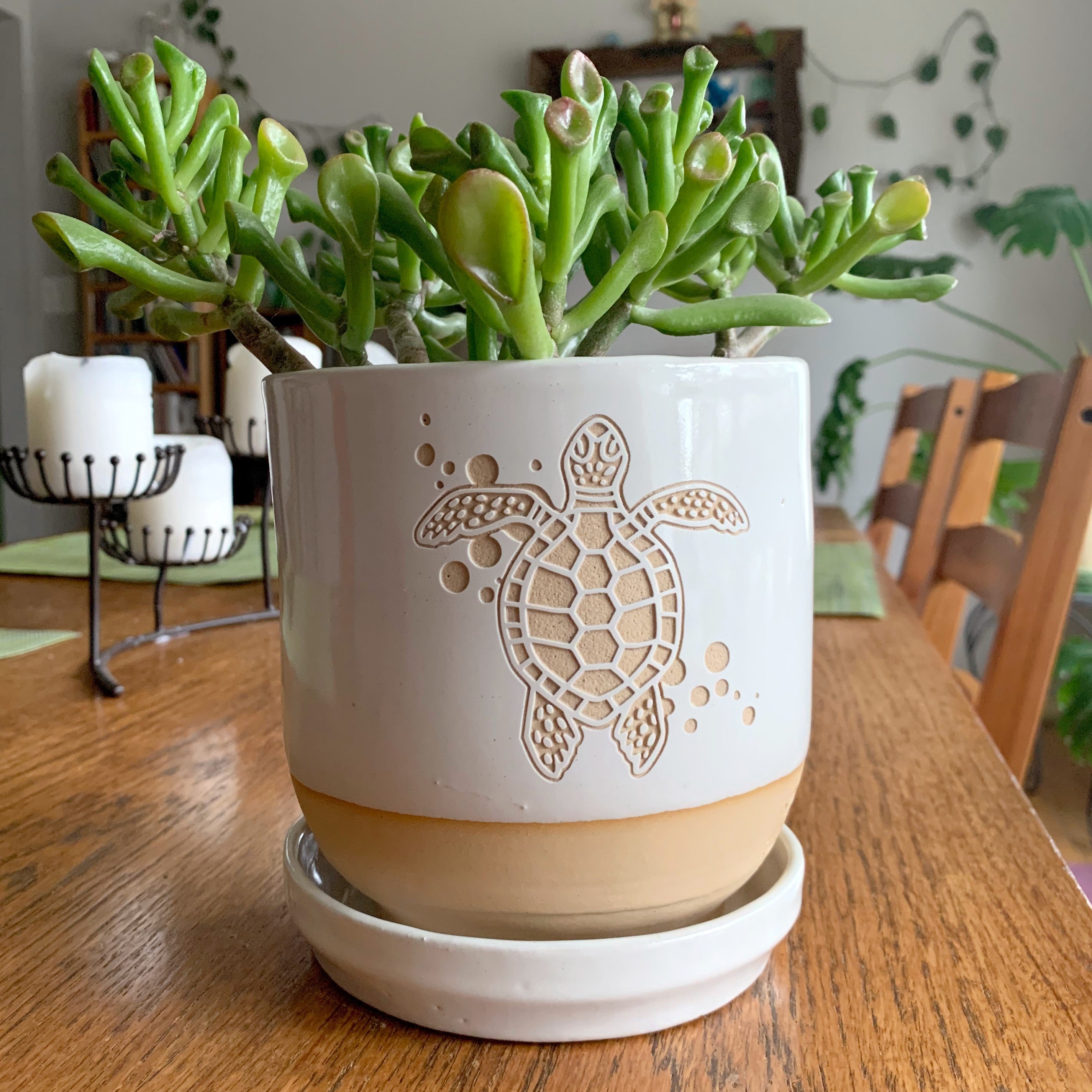 5" white sea turtle plant pot