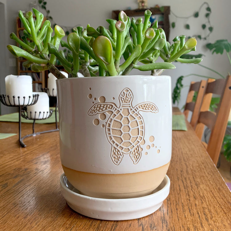 5" white sea turtle plant pot