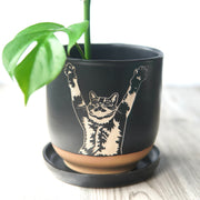 Stretch Cat 5" Planter with Saucer - Farmhouse Style