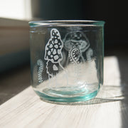 Cat Mushrooms etched recycled glass tumbler - Short